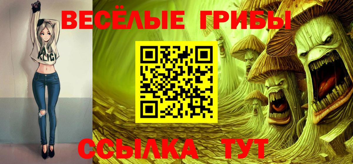 Псилоцибиновые грибы Psilocybe Астрахань