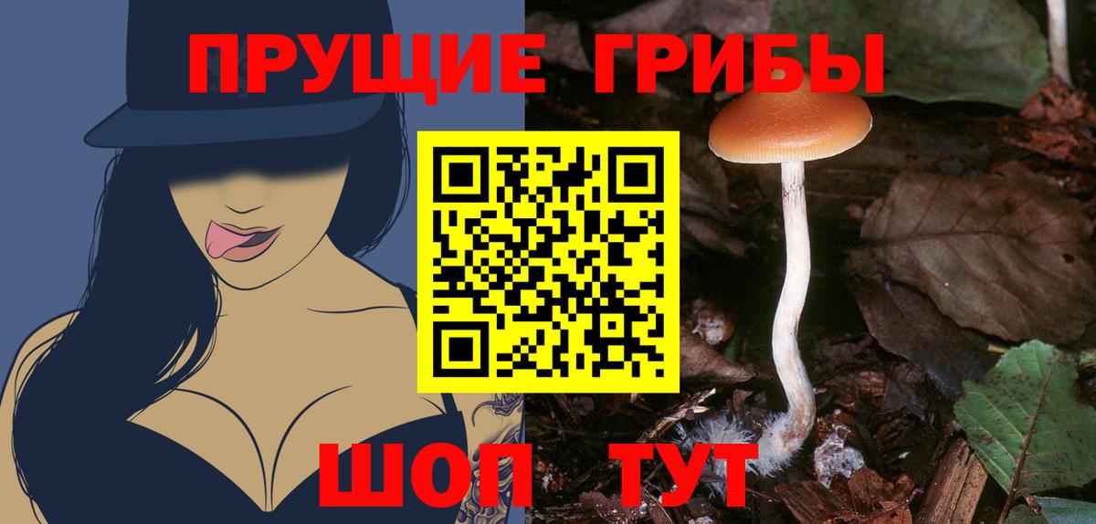 Астрахань  Псилоцибиновые грибы MAGIC MUSHROOMS  Вход с VPN  как найти закладки  Псилоцибиновые грибы MAGIC MUSHROOMS 